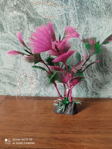 корм для кошек бишкек цена: Аквариум заводской, с крышкой 60 литров, со всеми комплектующими — 13