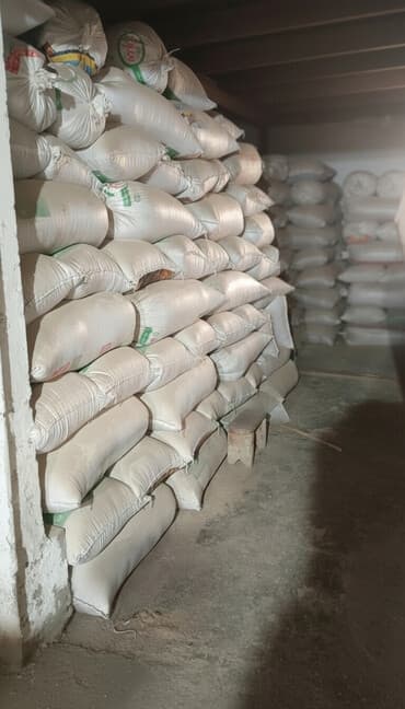 уголь купить бишкек: Гуруч сатылат!!!
Аланга
Оптом жана дүң бааса!!!
Келишим баада🤝 — 1