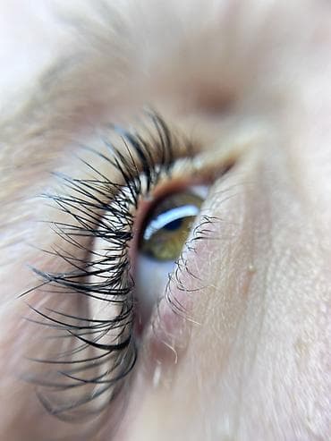 Красота и здоровье: Ресницы, Голливуд, Классика, 2D, С выездом на дом, Консультация, Гипоаллергенные материалы — 6