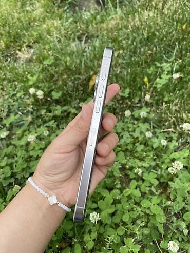 aiphone 13: IPhone 16 Pro Max, 256 ГБ, Коробка, 98 % — 7