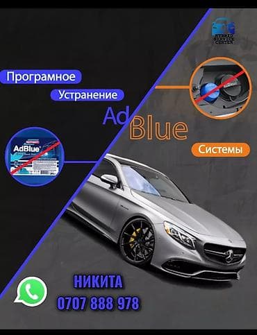 шагыл сокулук: Отключение системы [ Adblue SCR BlueTec ] Программное решение — 1