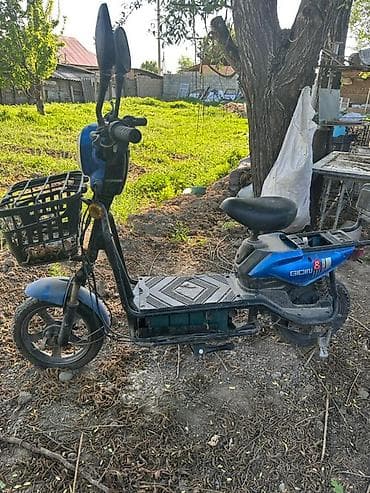 12 t: Электровелосипед, Б/у — 1