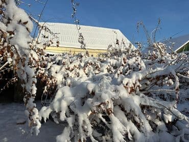 кок жар дома с ремонтом: Үй, 75 м², 4 бөлмө, Менчик ээси, Евро оңдоо — 7