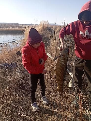 хоз постройки: 10 соток, Для бизнеса, Красная книга — 6