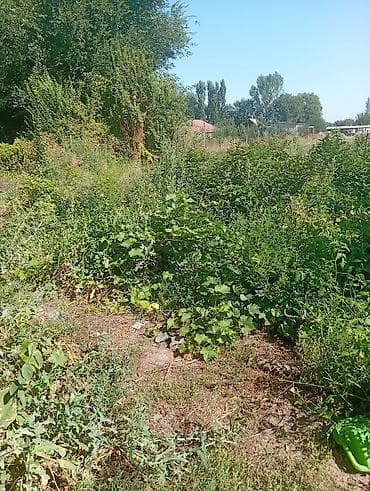15 соток, Айыл чарба үчүн — 1