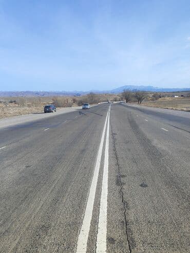 дом чон сары ой: 2 соток, Красная книга — 5