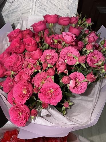 цветок женское счастье цена: Отдам оба за 3к Отправил бывший. Кустовые Тюльпаны Свежие Только — 1