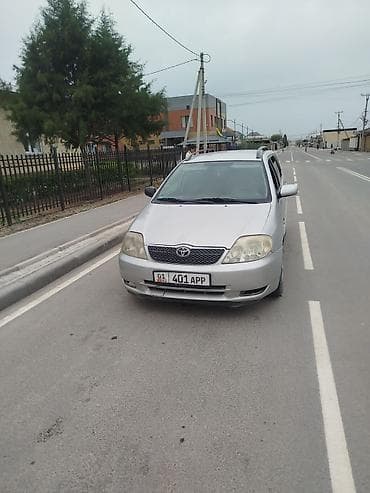 corolla: Toyota Corolla: 2004 г., 1.6 л, Механика, Бензин, Универсал — 6
