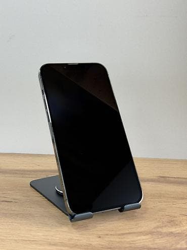 IPhone 13 Pro Max, Колдонулган, 256 ГБ, Графит, Коргоочу айнек, Каптама, 81 % — 8
