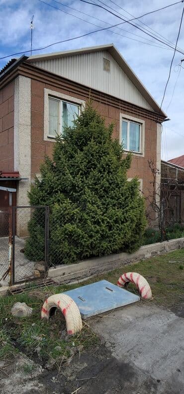 Продаю шикарную тянь-шанскую ель высота 5метров. Густая и пышная. Ель