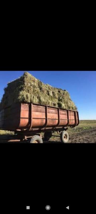 Продаю! 🍀Тюки клевера, сорт клевера люцерна, тюки сухие лежат под