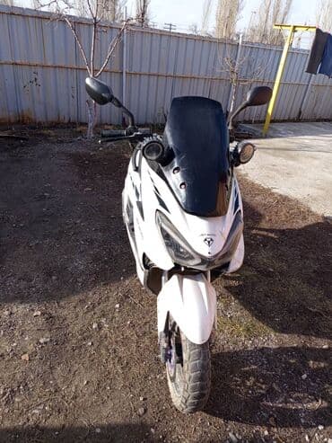 айфон кара балта: IPhone 14 Pro — 2