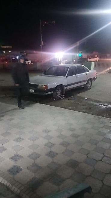 садовые цветы в бишкеке: Пеларгония (герань) с розовыми соцветиями - Сорт: зональная — 6