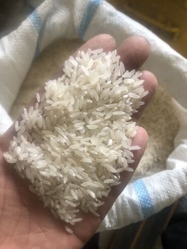 визажный зеркало: Лазер белый рис оптом 135 сом - Виды зерна: длинные, ровные — 2