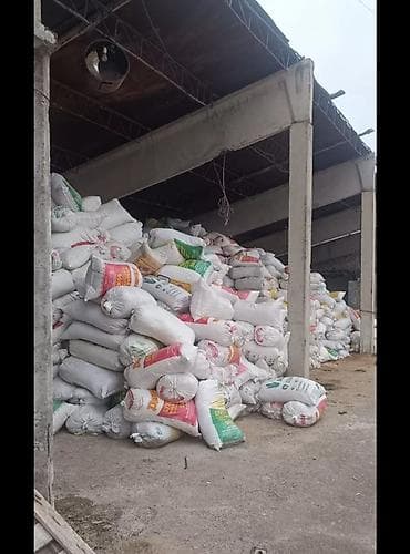 Үй жаныбарлары: ОПИЛКА САТЫЛАТ СОСНА ТЕРЕК КАРАЖЫГАЧ ТОПОЛЬ МДФ ДВП ДСП ЛЮБОЙ ТУРУН — 1