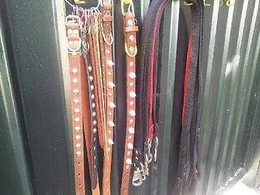 Амуниция для собак . ошейник поводок, шлейка, намордник. От at lalafo.kg Амуниция для собак . ошейник поводок, шлейка, намордник. От