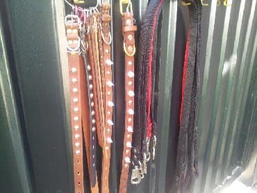 ошейник для собак на заказ: Амуниция для собак . ошейник поводок, шлейка, намордник. От — 2