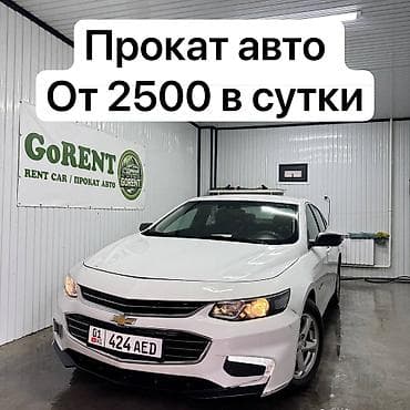 e60 m5: Сдаю Другая модель, Посуточно, Без водителя — 1