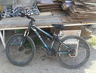 Спорт жана хобби: Горный велосипед Raleigh R-100 - Рама: стальная, размер — 1