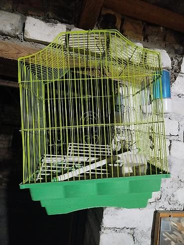 ласка животное: Клетка для декоративных птиц - Размер: средняя, подходит для — 1