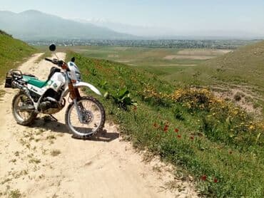 цены на мото: Продаю ямаху серов. 96год. объем 225 на номерах с документами — 4