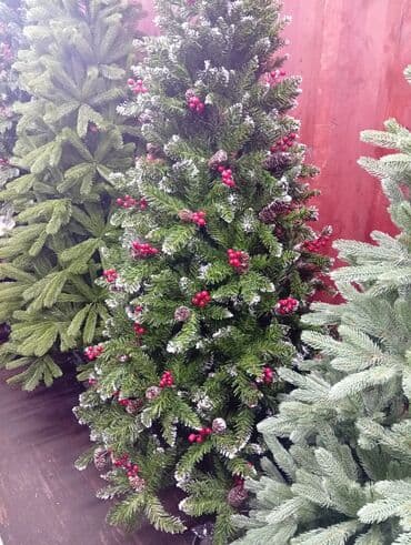 растения в аквариум купить: Все виды новогодних ёлок. от 0.6 до 4 метров. Украсит ваш дом — 3