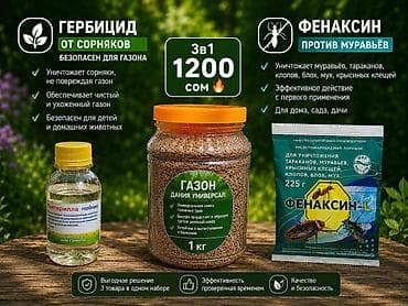 микрозелень цена за кг: 🌱 Газон универсальный (Дания) Цена: 750 сом за 1 кг ✔ Подходит для — 2