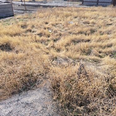 дом 4 соток: 4 соток, Курулуш — 2