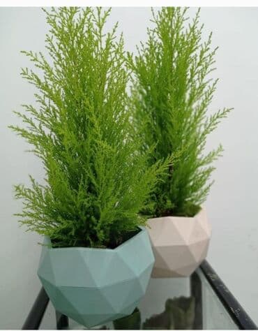 цветочница: Цветочные горшки Лотки, Висячие горшки, Прямоугольные горшки — 23