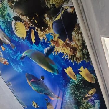 бетон м200 цена с доставкой бишкек: Натяжной жазайбыз 
3d натяжные потолки 
от 1000 сомов 
Бишкек чуй — 8