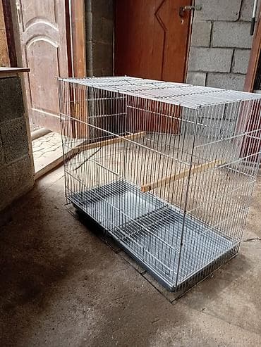 кекилик алам: Сетка для птиц попугай амадин 2500 70/60/36 — 6