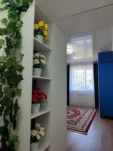 Комнаты: 24 м², С мебелью — 4