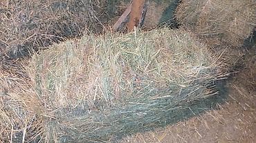 Аквариумы: Сено в тюках - Тип: луговое сено, прессованное в прямоугольные тюки - — 3