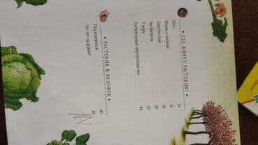 камуфляж форма бишкек: Продаю энциклопедию . 400 страниц в хорошем состоянии. твердый — 11