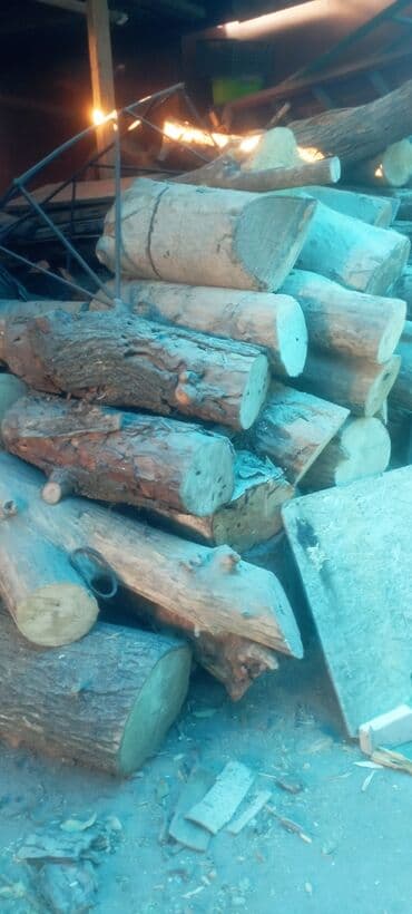 Садовые инструменты и инвентарь: Дрова — 4