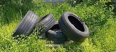 12 t: Шины 235 / 55 / R 18, Лето, Комплект, Внедорожные (АТ/МТ), Pirelli — 3