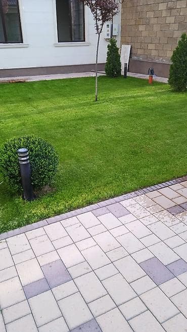 огород: Ответственный и трудолюбивый работник ищет работу садовником. Имею — 4