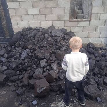 купить сирень в бишкеке: Coal briquettes — 3