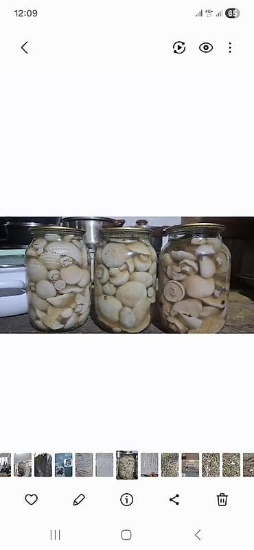 Грибы: Маринованные грибы в стеклянных банках. - Сорт: синеножка (целые и — 1