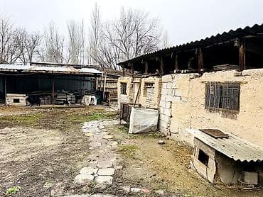 бишкек продаю дом село дордой 2: 📌В селе Полтавка продаётся дом из 4-х комнат, тёплый дом со всеми — 5