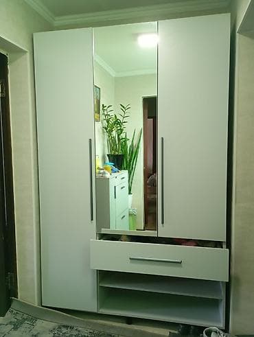 дверь с зеркалом: Шкаф-прихожая, С зеркалом, ЛДСП — 3