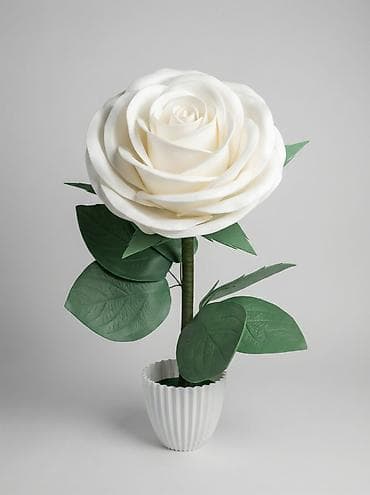 реалии: Декоративная гигантская роза в горшке - Эффектный интерьерный цветок — 1