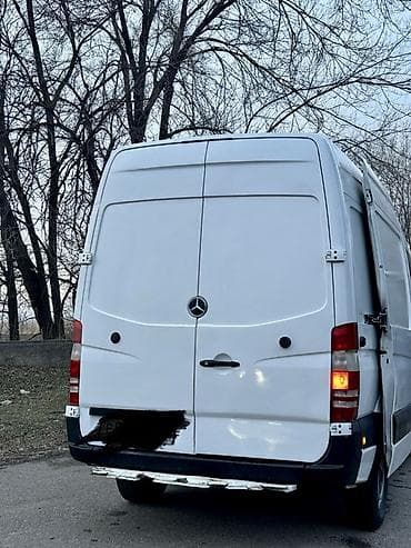 двер спринтера: Легкий грузовик, Mercedes-Benz, Стандарт — 9