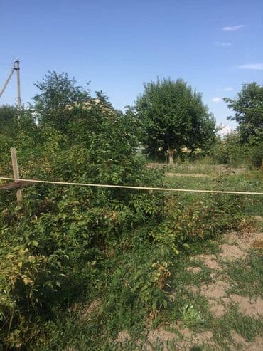 7 соток, Для строительства, Красная книга at lalafo.kg 7 соток, Для строительства, Красная книга