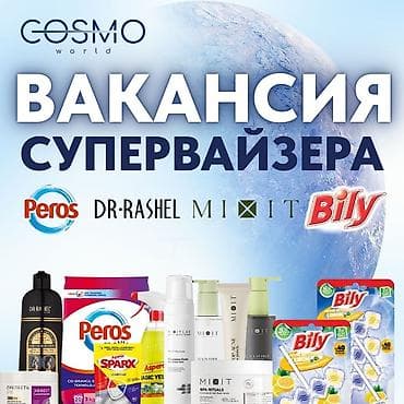 Супервайзер по городу Бишкек Возраст 25–40 лет Опыт работы