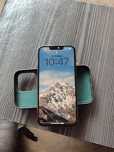 aspire 3: IPhone 13 Pro, Б/у, 256 ГБ, Графит, Чехол, 83 % — 3