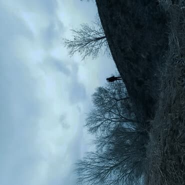 карта мира: Ищем работу на постоянную наз двойе возраст 23 рост 187 вес 80+- — 2