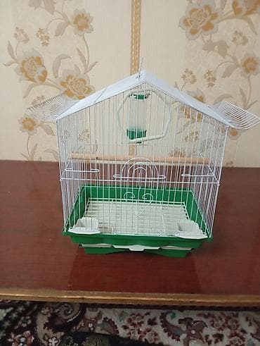 кошки продаются: Клетка для попугаи и канарейки — 3