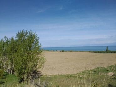 дом арча бешик аренда: 50 соток, Айыл чарба үчүн, Кызыл китеп, Техпаспорт, Сатып алуу-сатуу келишими — 2