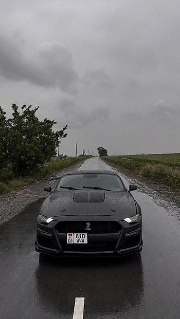 спойдер: Ford Mustang: 2020 г., 2.3 л, Автомат, Купе — 2
